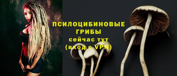 COCAINE Михайлов