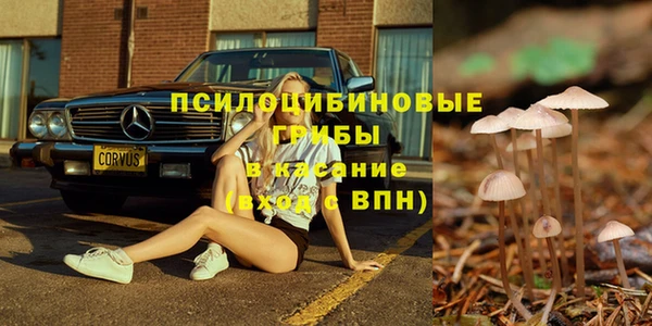 дурь Михайловск