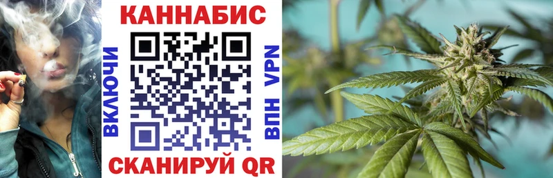 купить закладку  Екатеринбург  Каннабис планчик 